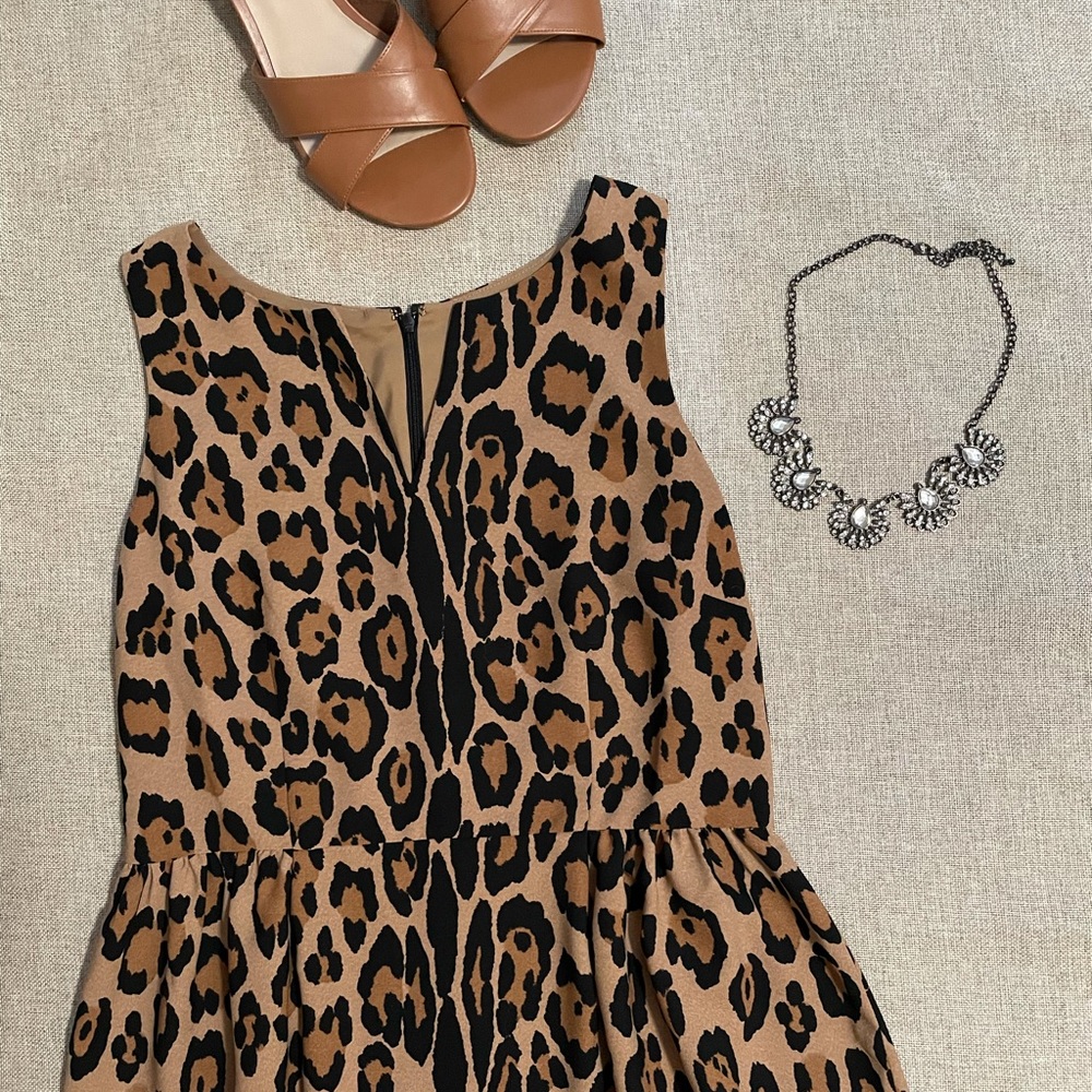 🐆LOFT skater dress🐆